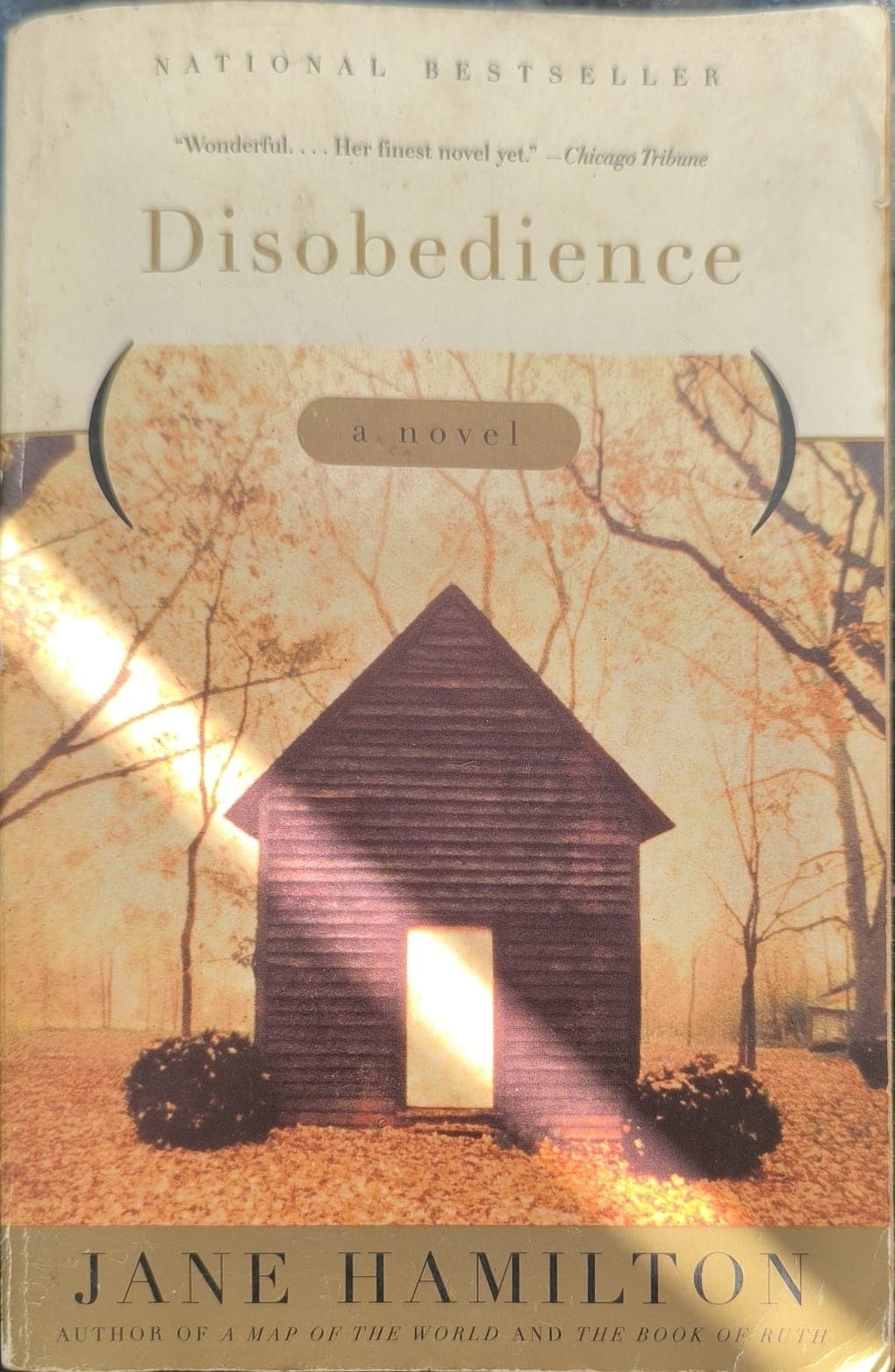 Disobedience