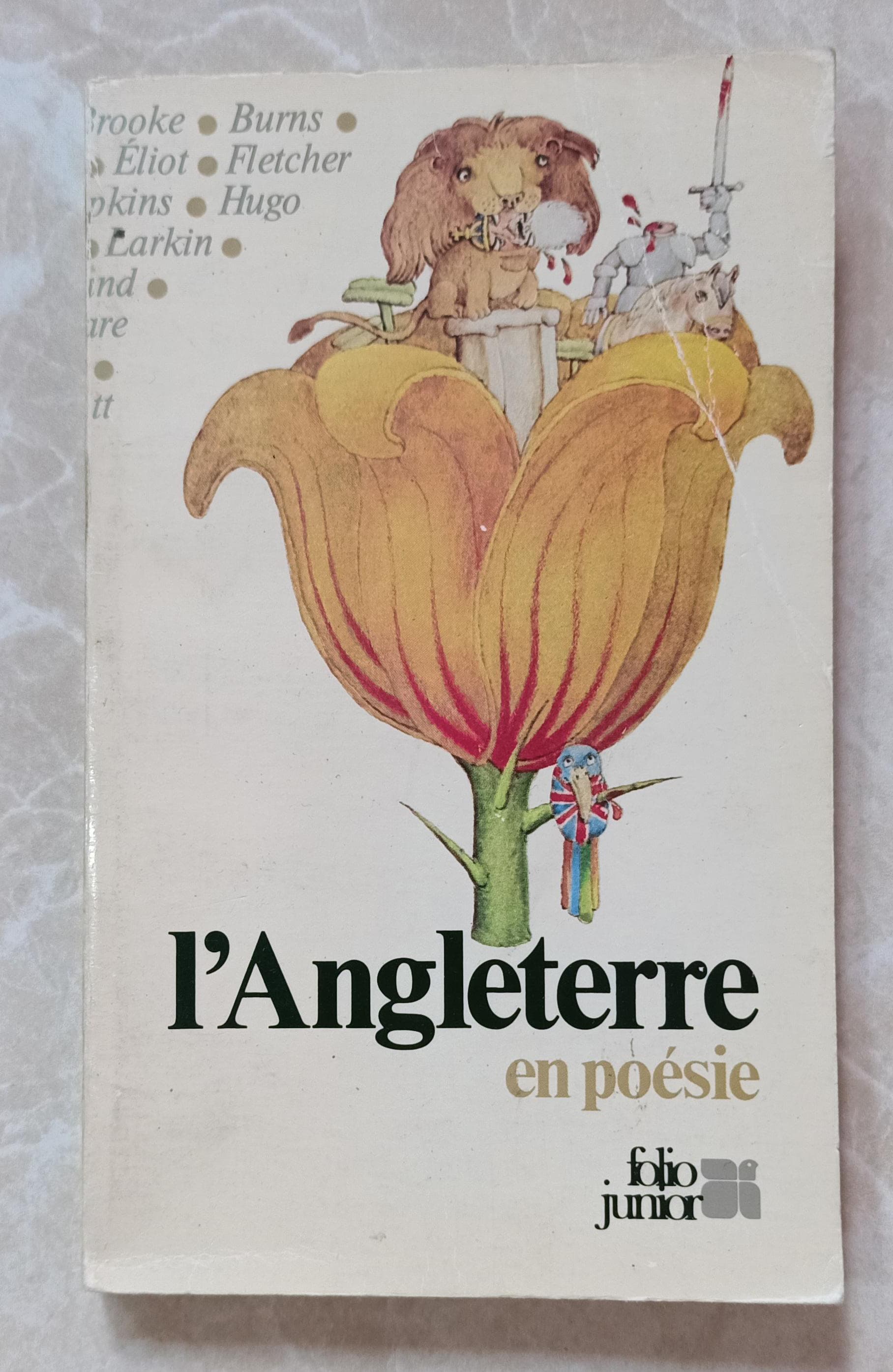 L'Angleterre En Poesie